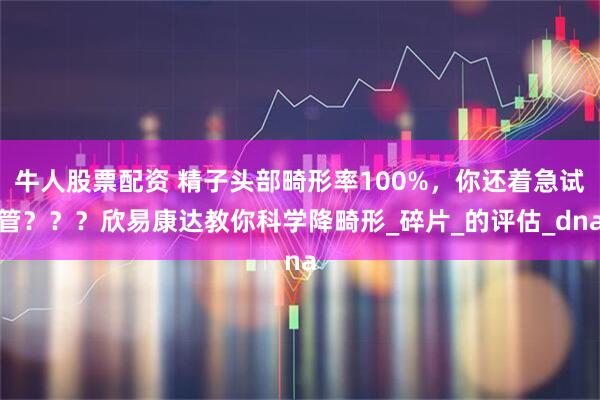 牛人股票配资 精子头部畸形率100%，你还着急试管？？？欣易康达教你科学降畸形_碎片_的评估_dna