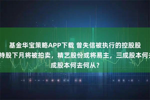 基金华宝策略APP下载 曾失信被执行的控股股东全部持股下月将被拍卖，精艺股份或将易主，三成股本何去何从？