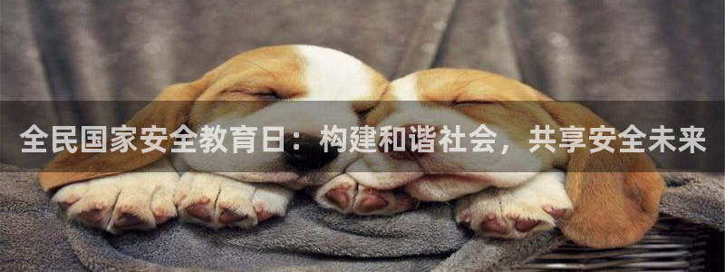 新宝5如何下载