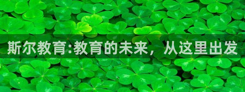 新宝5电脑登录网址