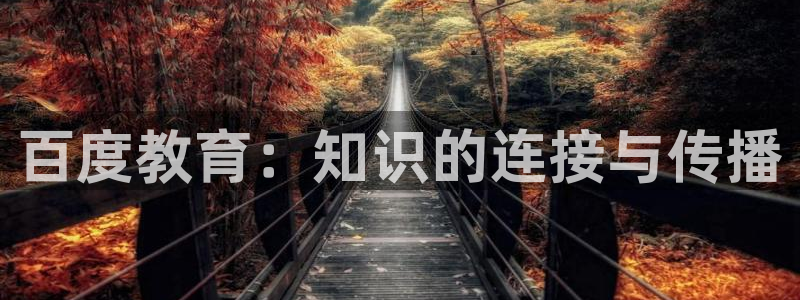 新宝5的网址
