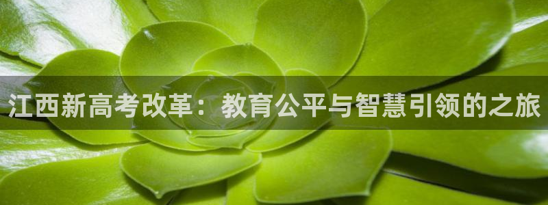 新宝5登录不了