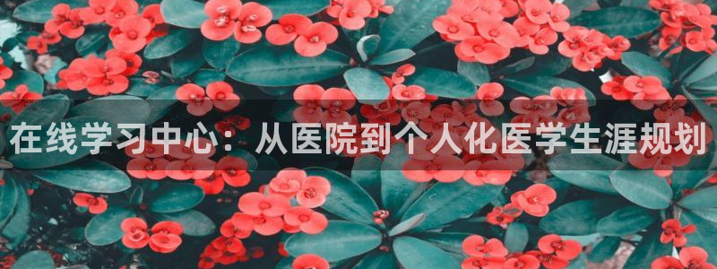 新宝5策略