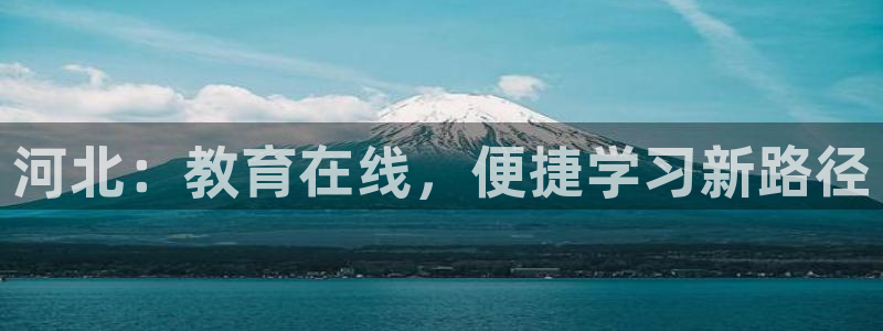 新宝5手机版