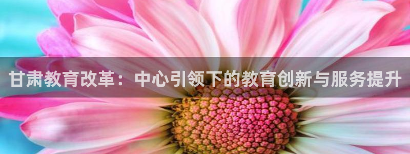 菲律宾新宝5老板