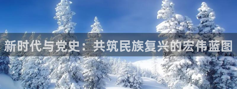 新宝5是什么样子的