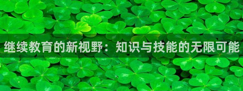 新宝5登陆地址