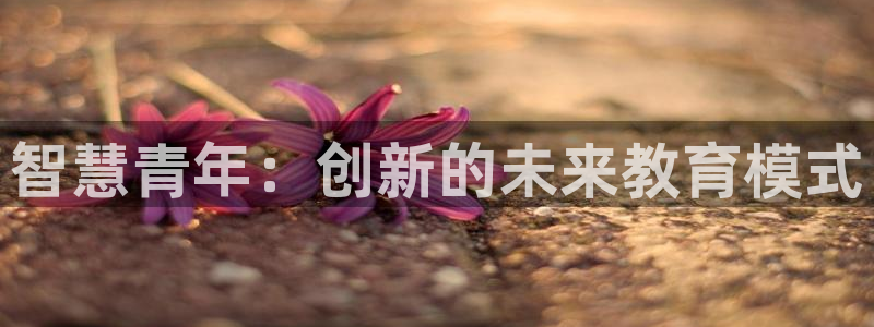 新宝娱乐5