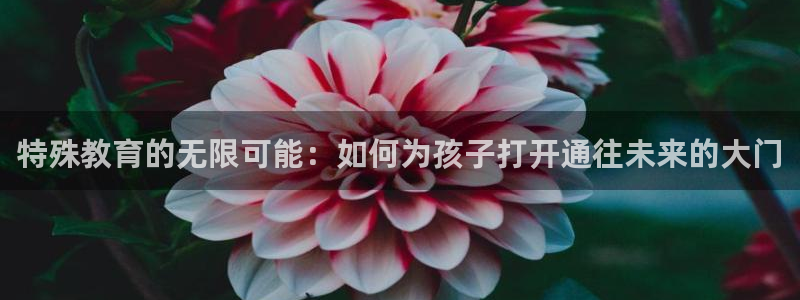 新宝5可靠吗