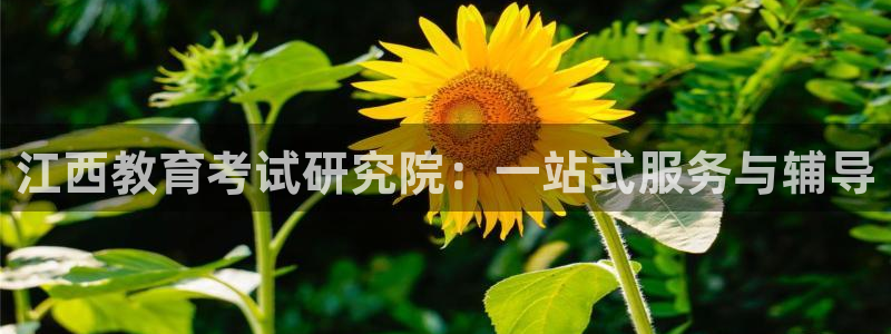 新宝5官网霸