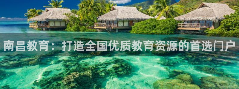 新宝5测速在线