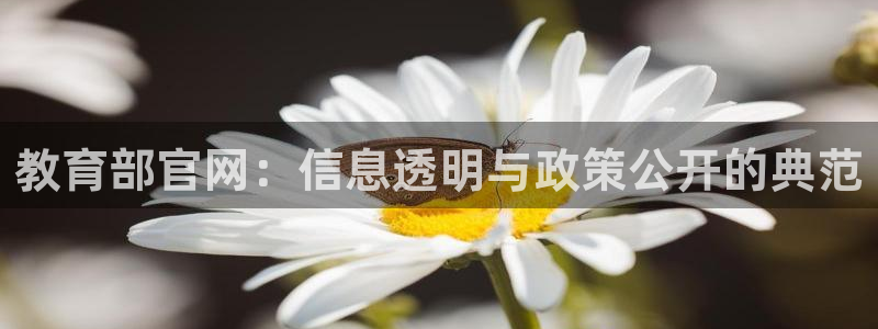 新宝5娱乐同