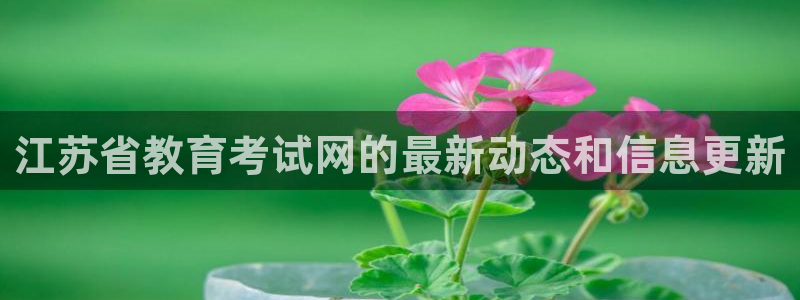 新宝5彩票平台登陆